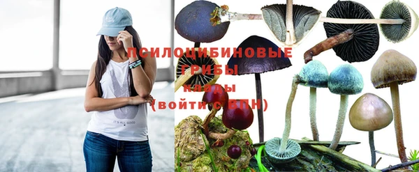 каннабис Ладушкин