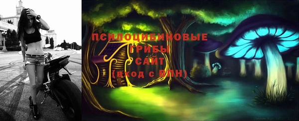 mix Лабытнанги